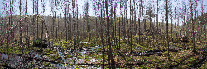 IMG_8753 Panorama.jpg